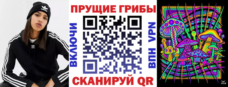Галлюциногенные грибы мицелий  Спасск-Дальний 